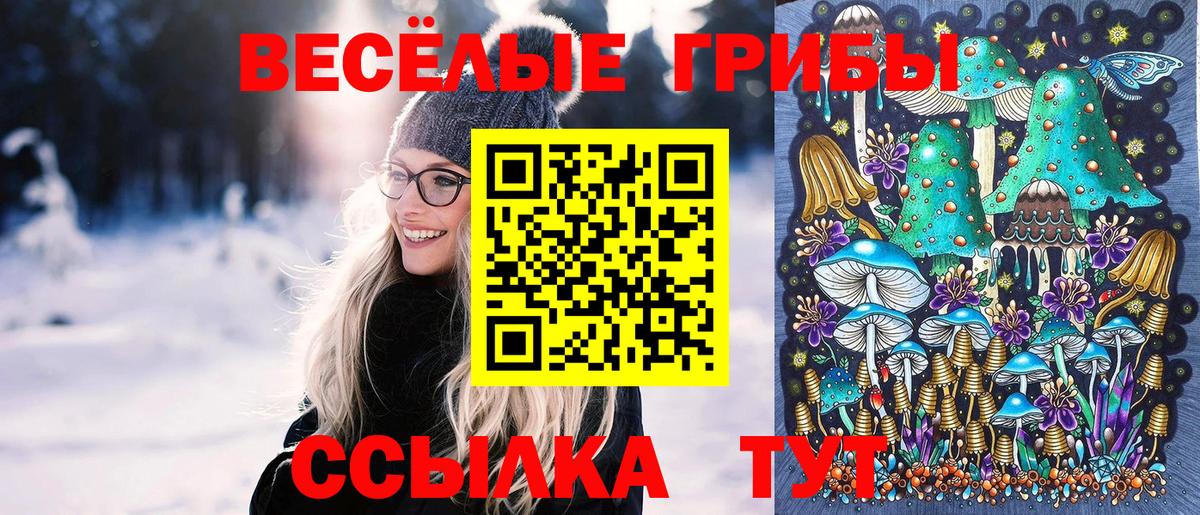 Галлюциногенные грибы Cubensis  Галлюциногенные грибы мицелий  Вход с VPN  Ахтубинск 